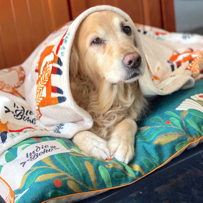 Large washable dog bed designer fox pattern