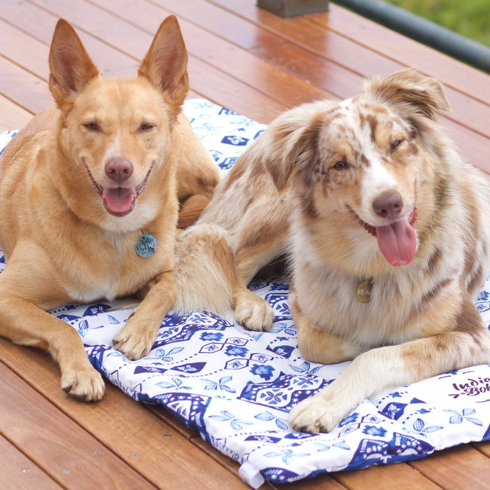 Tallow and Peach Noosa Nights dog travel mat