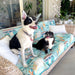 Best pet couch cover Australia